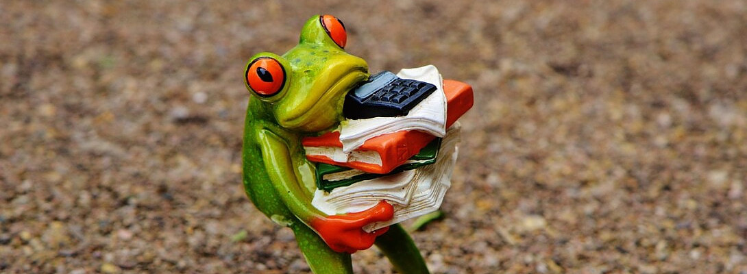 It Works! How I Paid My WA Fees, Boosted My Google Rankings & Found a New WA Strategy