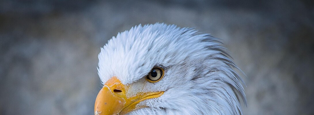 Happy 49th Birthday to Me