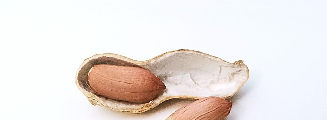 From One Peanut to Profit
