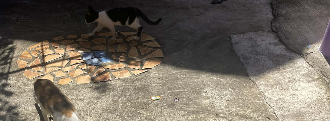 Holiday Treats for Our Furry Friends