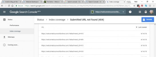 Google Consol Driving Me Crazy