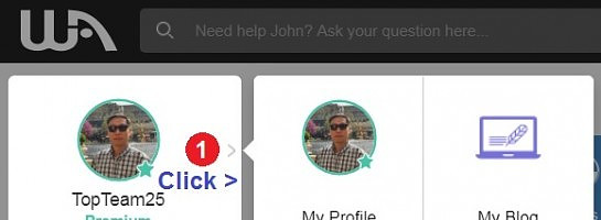 How Can I Logout WA Account ?
