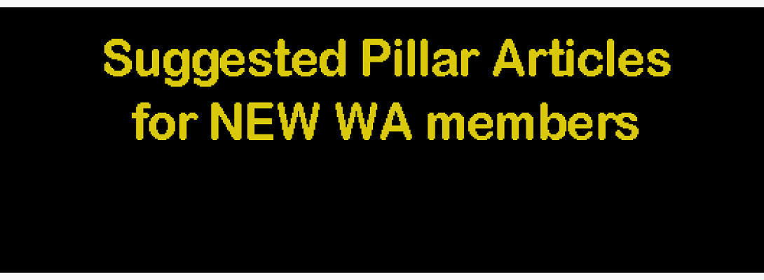 Suggested Pillar Articles for New WA members