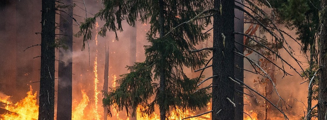 Oregon Is Burning Up