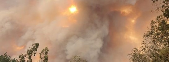 Twitter to the Rescue