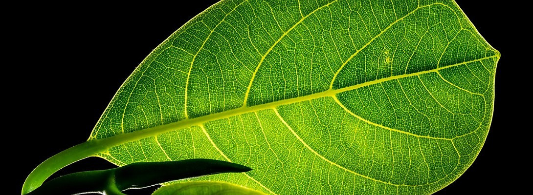 Which Niches Will be the Most Profitable in 2020?