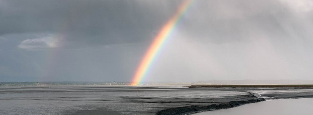 An Interesting and Positive Outlook in Spite of COVID-19.