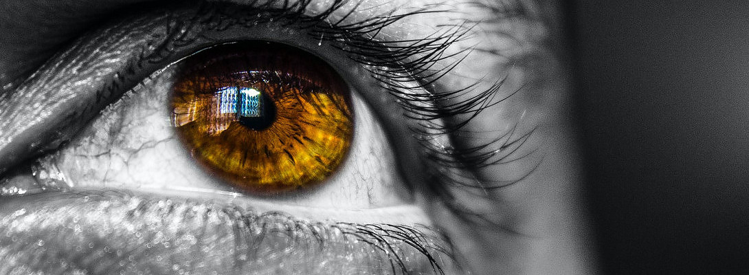 Wealthy Affiliate Training, Our Vision for the Future.