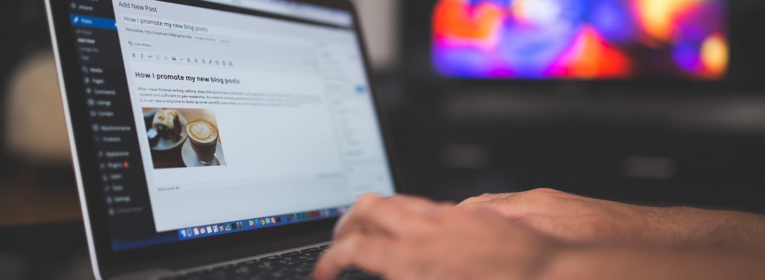 A Slow Wordpress Theme, a Slow Business.