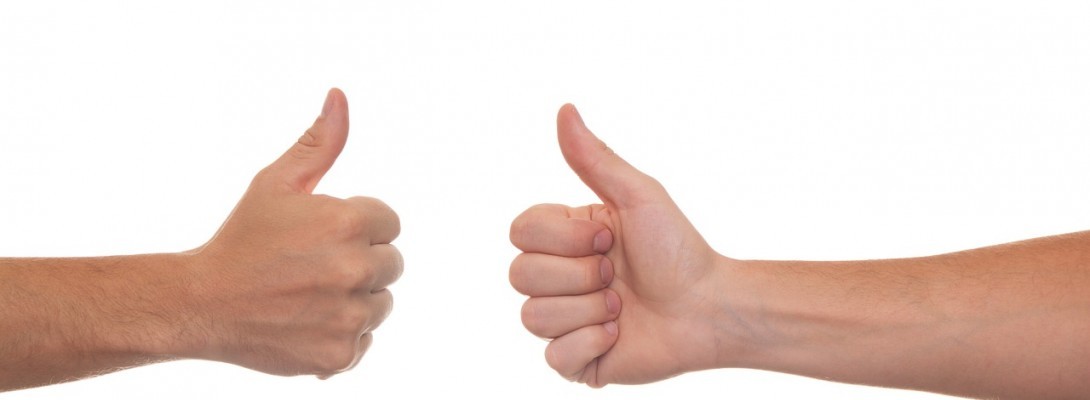 Asking for Permission and Receiving It from Favorite Author Artist