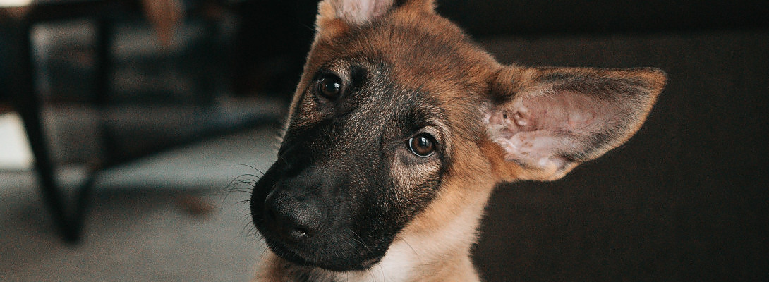 What the Heck Happened?