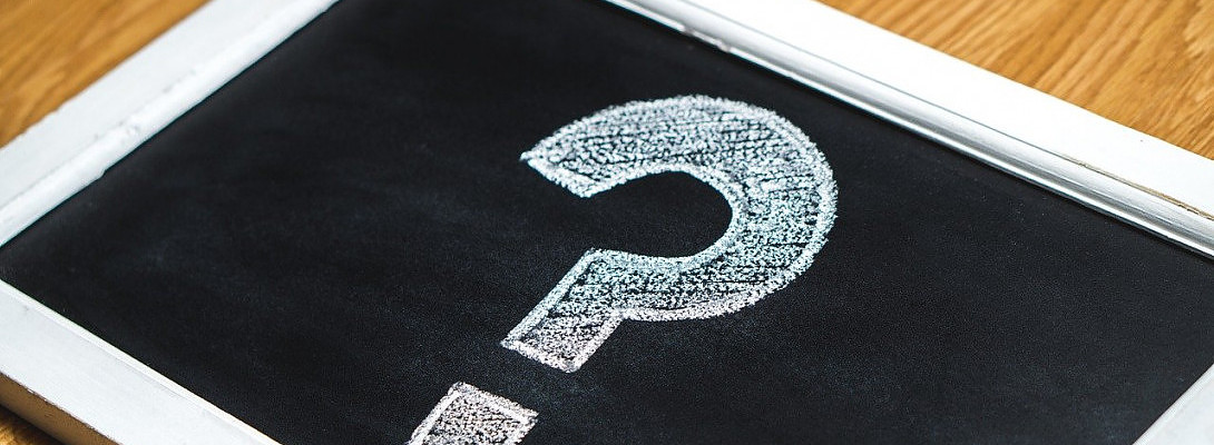 Can somebody visit my blog inside WordPress?