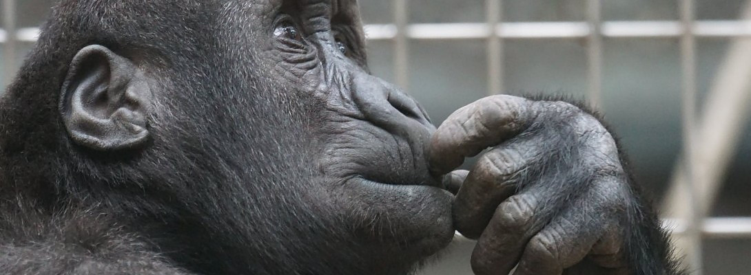 30 Day recap: Back to Square One?