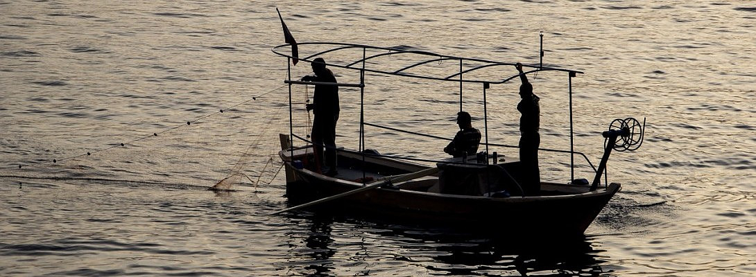 Let's have a fisherman mentality.