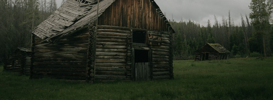 This is where we came from, but is not who we are".