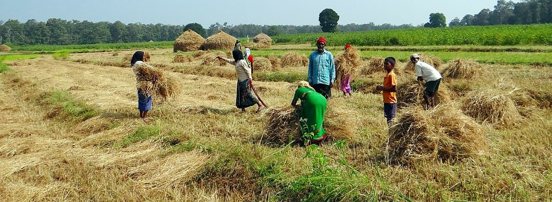 Not everything is the same