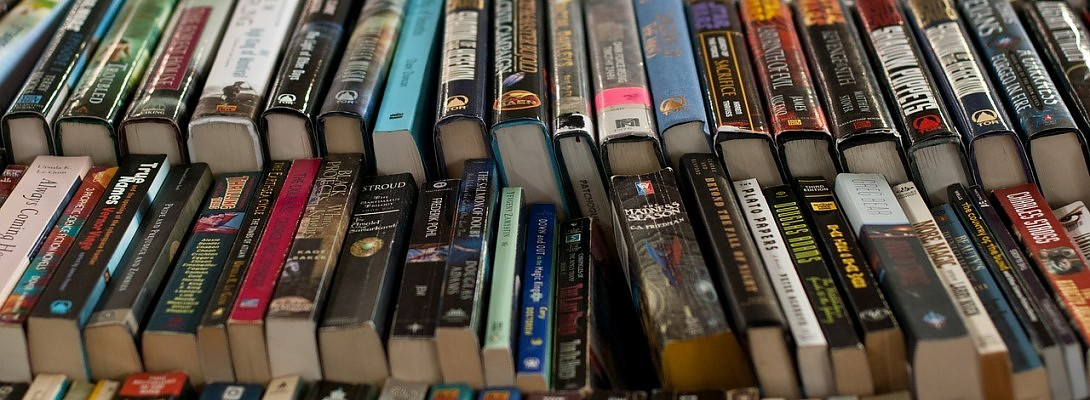 novel completion plan