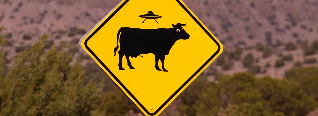 The Weird Power of Not Fitting In (and How It Made Me a Better Marketer)