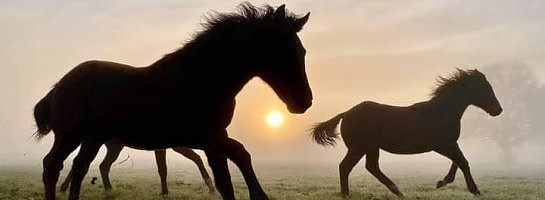 Your Suppliers and Providers May Have an Affiliate Program, Check It Out.