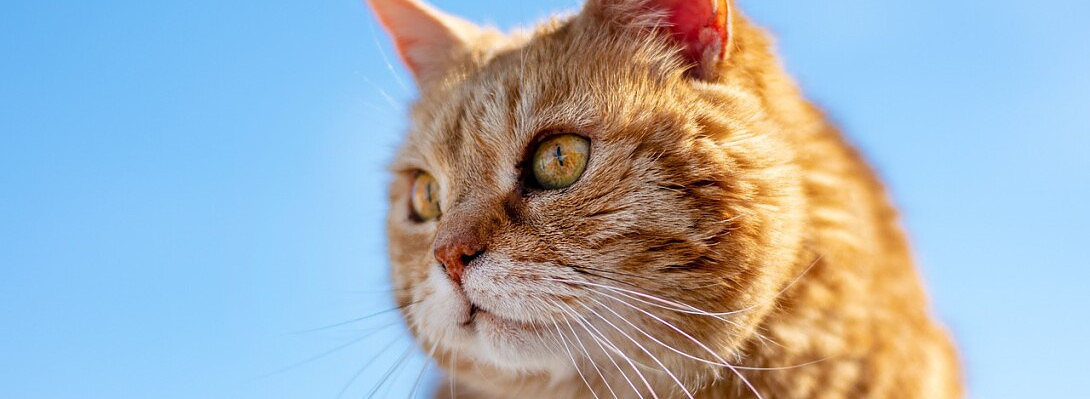 Grateful to be in Top 200 Again