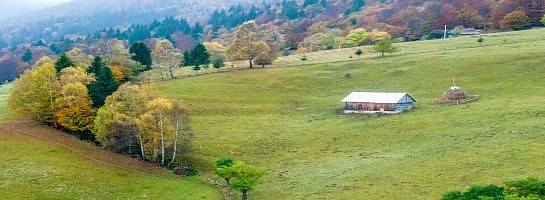 Work At Home And Work The System