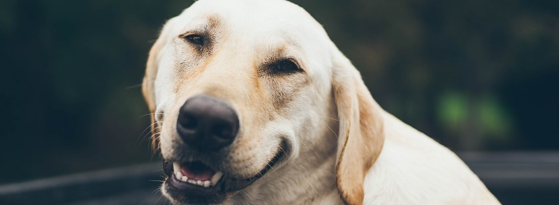 Smile Your On Camera