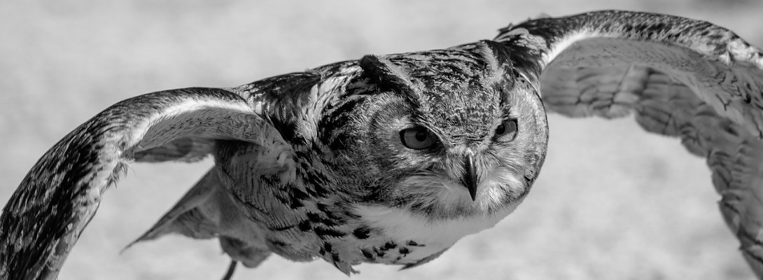 It's a Mainstream World! Do I Belong?