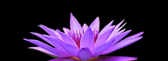 What Is The Best Images For A Website?