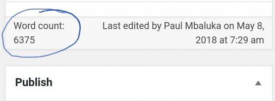 Pheeew! Just Finished my First 6000Plus Word Product Guide