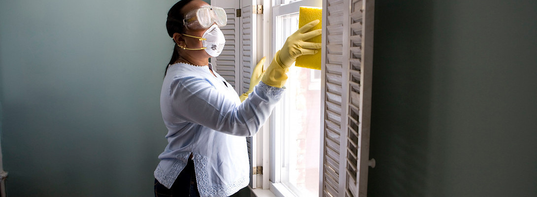 Cleaning and organising your home for business success