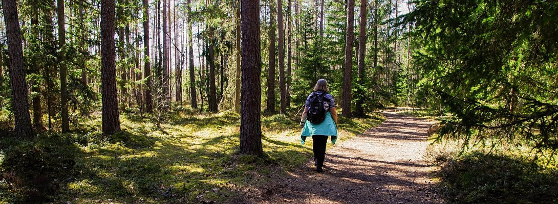 I Am Loving My Journey With WA Training 2019!