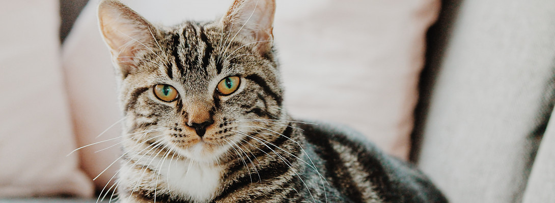 This is just the beginning