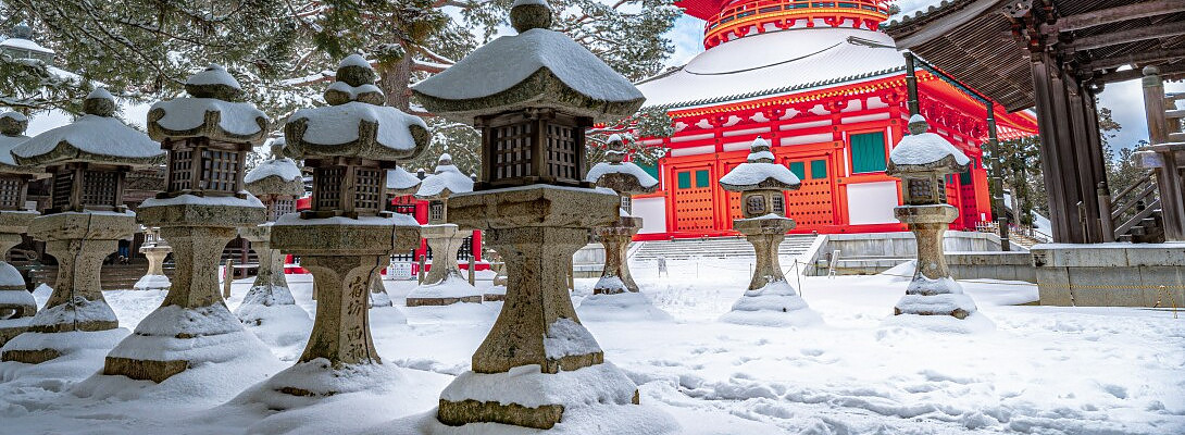 Merry Christmas from Japan! Looking forward to 2024