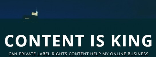 Is PLR Content Good For Our Websites?