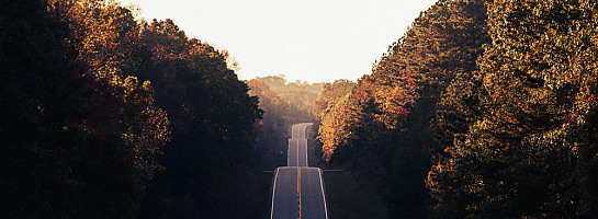 I Just Earned a Dedication Badge!