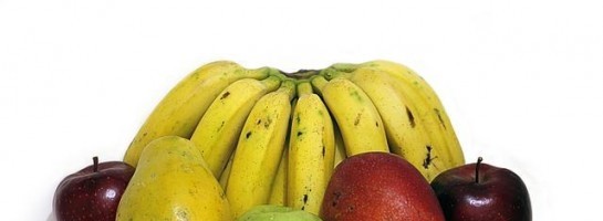 My New Health and Wellness Program !