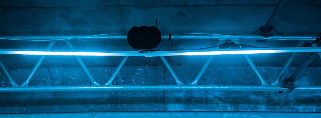 Commit To The Business Model