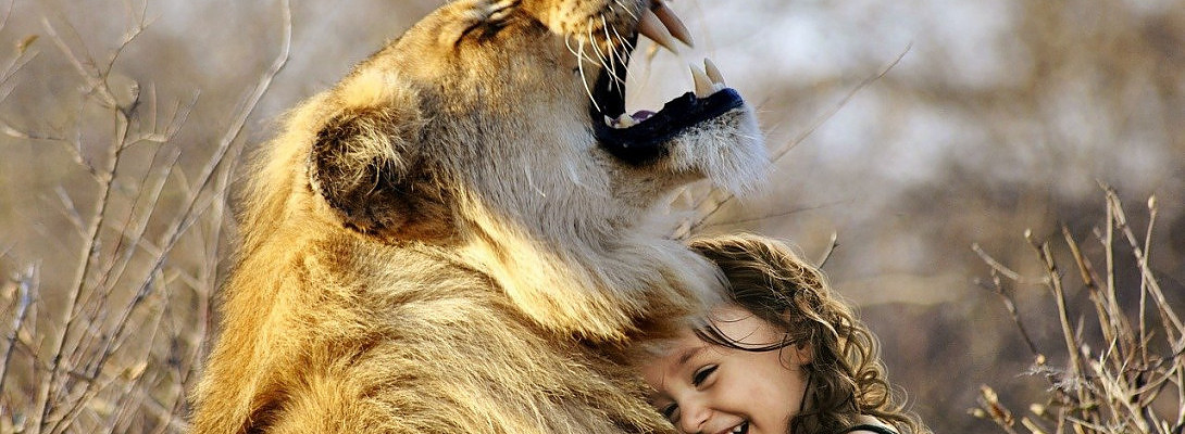 AlexEvans Do You Know Him?