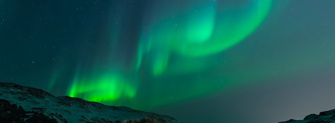 Just Got My 5 Year Badge!