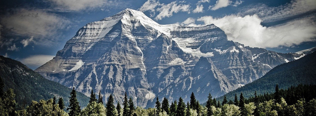 You Have To Weather the Downturns In This Business and Look Up