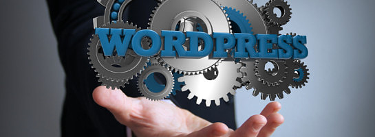 How Fast Is Your WordPress Dashboard? Help!