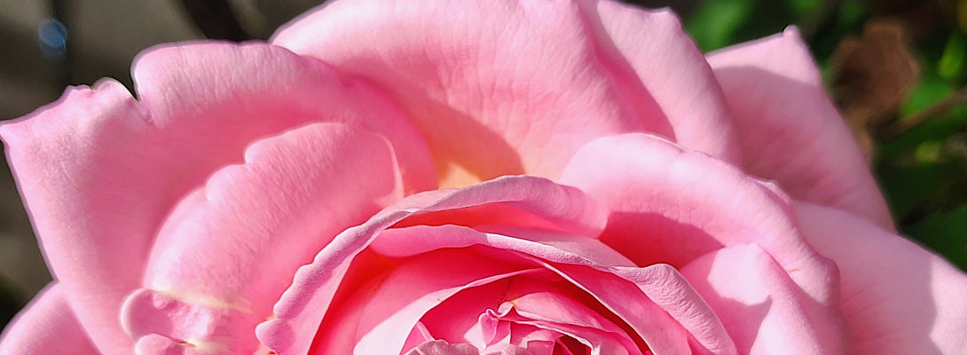 I Did Not Meet My Goals