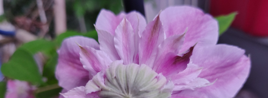 Spend Time with Your Family No Matter What