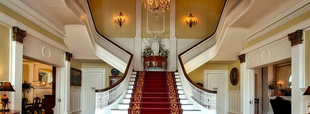 Why Go Premium With WA