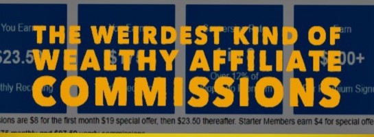 The Weirdest Kind of Wealthy Affiliate Commissions?