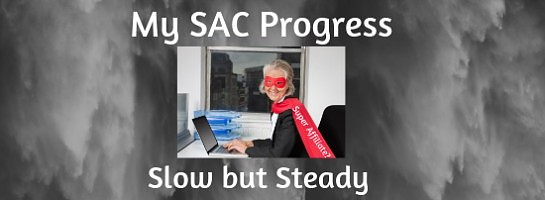 My SAC Progress - Slow but Steady!