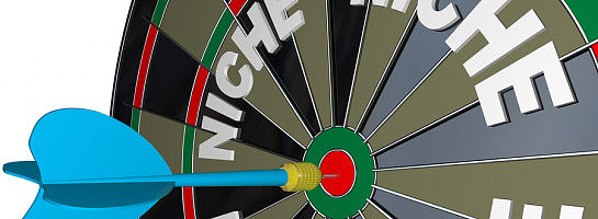 Choosing a Niche - What Google Sees