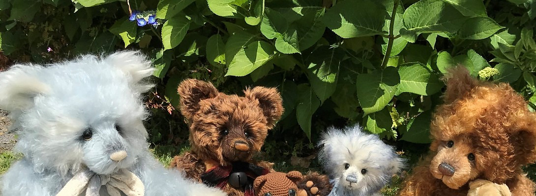 Calmkoala and the Exceptional Bears!