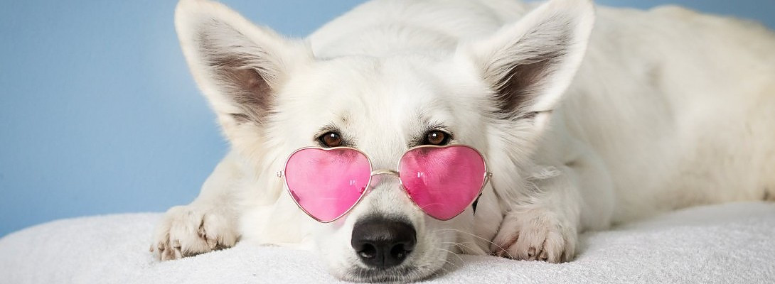 Here's Looking at You Kid.