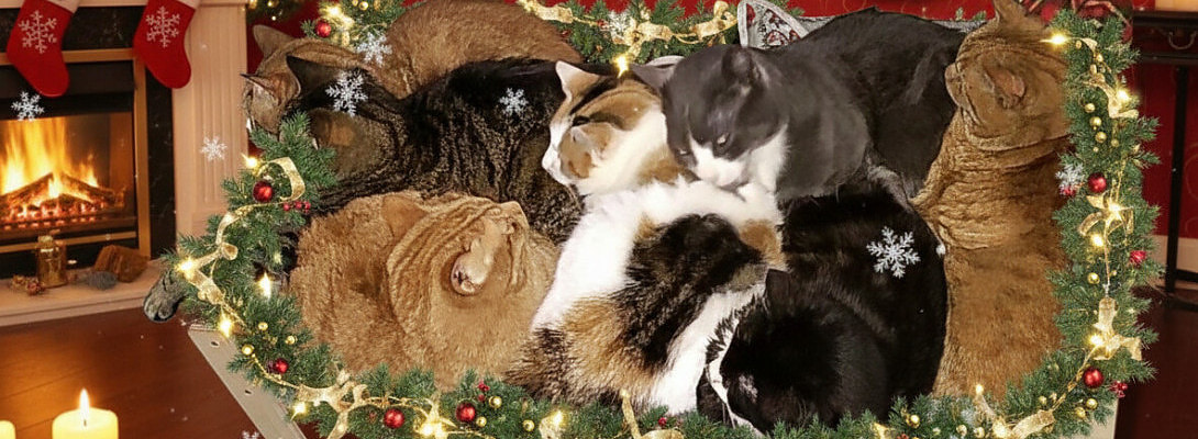 Happy christmas everyone